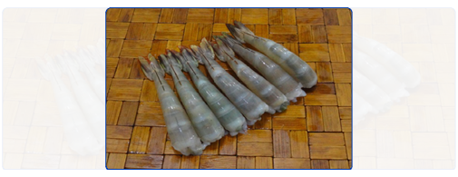 White Shrimp HLSO (Headless Shell-On) White Shrimp HLSO (Headless Shell-On)